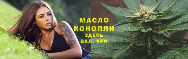 шишки Арсеньев