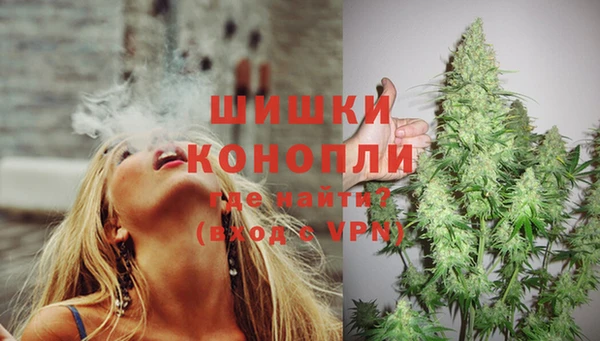 шишки Арсеньев