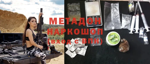шишки Арсеньев