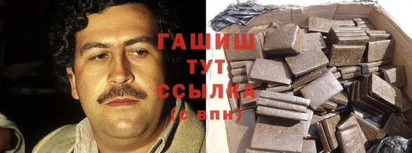 шишки Арсеньев