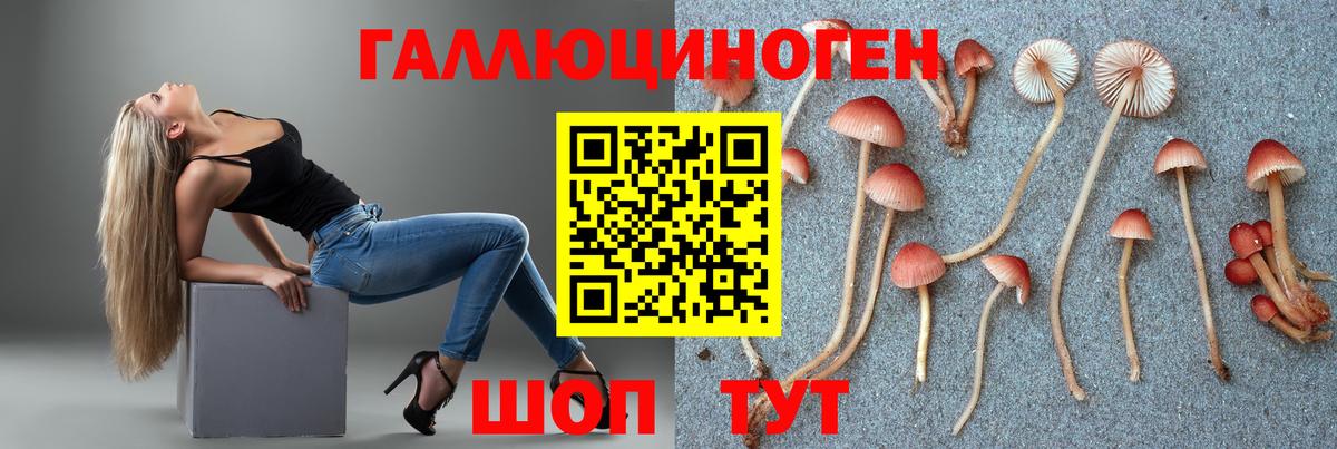 Галлюциногенные грибы Cubensis  Галлюциногенные грибы Psilocybine cubensis  Переславль-Залесский  Вход с VPN 